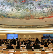 United Nations Human Rights Council
