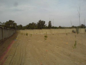 Khavaran cemetery Khavaran cemetery